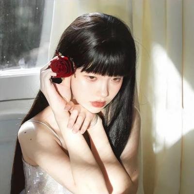 猫儿协奏曲