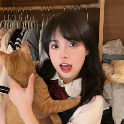 朋友圈